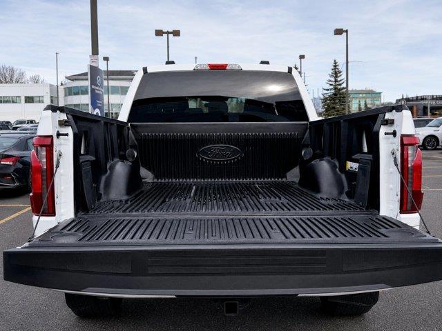 ford F-150 2025 - 14