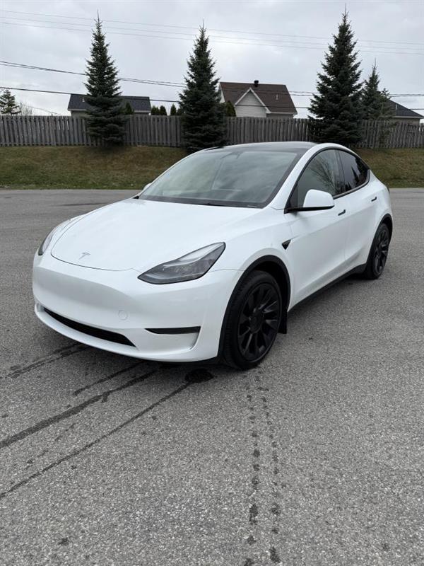 tesla Model Y 2023