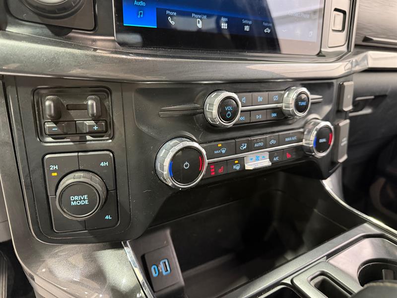 ford F-150 2022 - 17