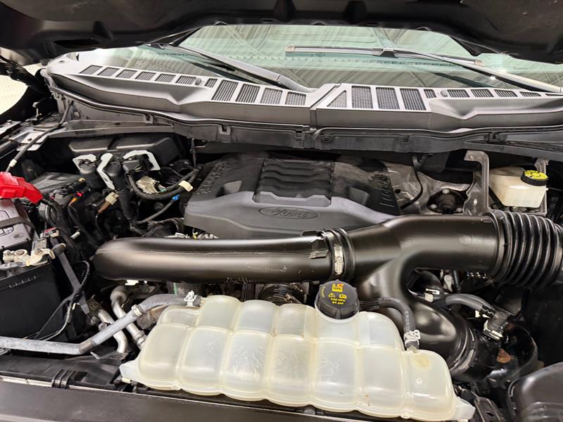 ford F-150 2022 - 24