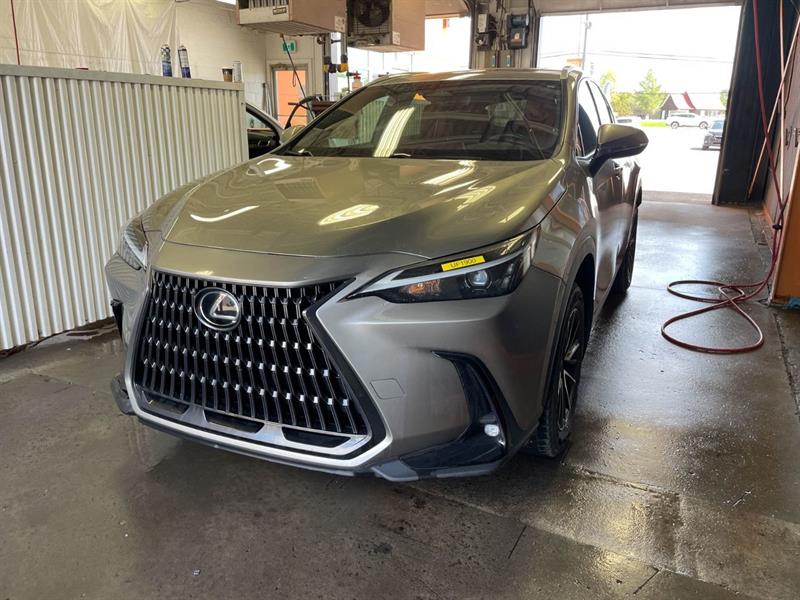 lexus NX 2024