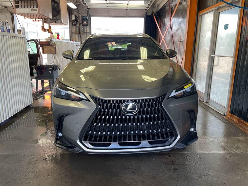 lexus NX 2024 - 6