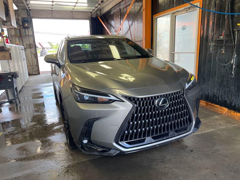 lexus NX 2024 - 12