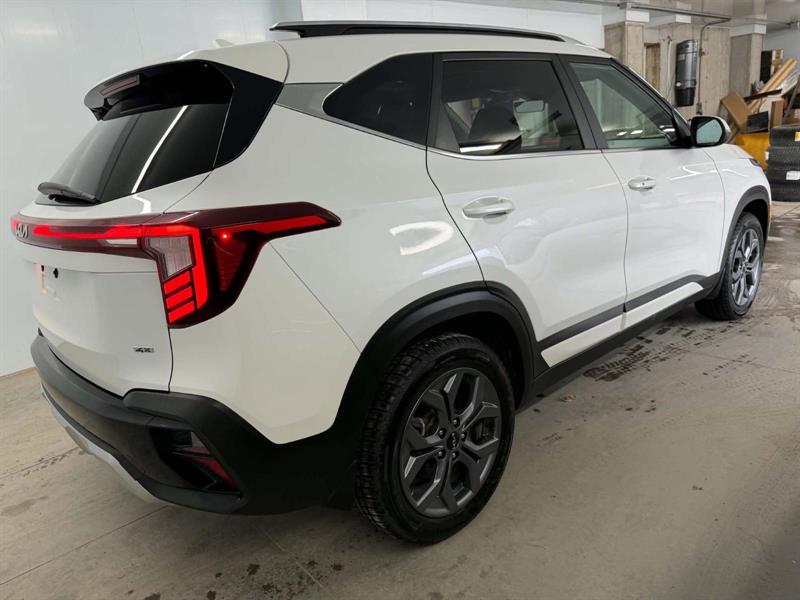 kia Seltos 2024 - 6