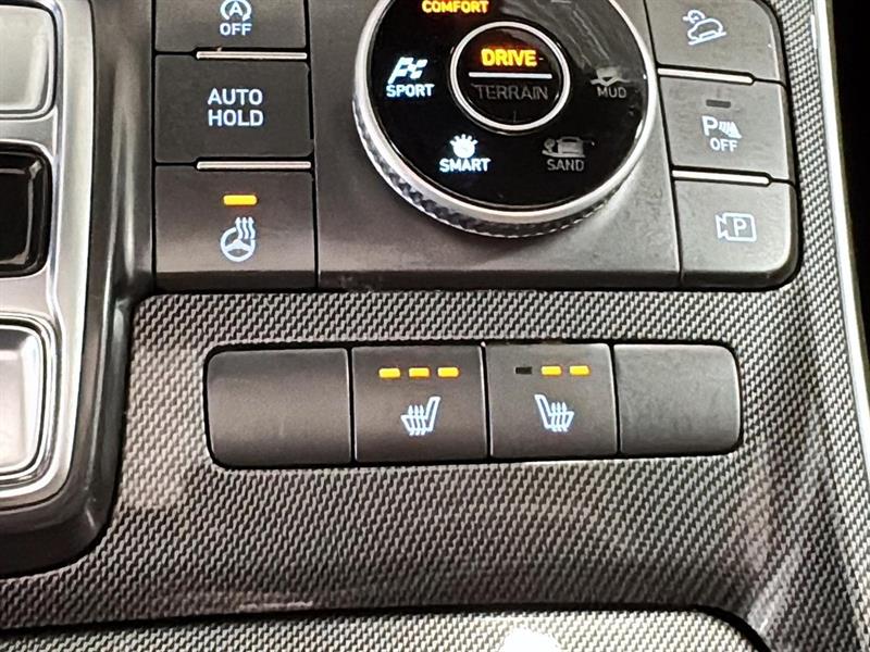 hyundai Santa Fe 2021 - 39