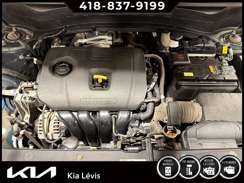 kia Seltos 2024 - 15