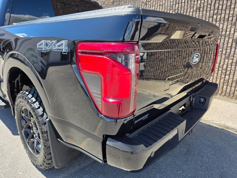 ford F-150 2024 - 10