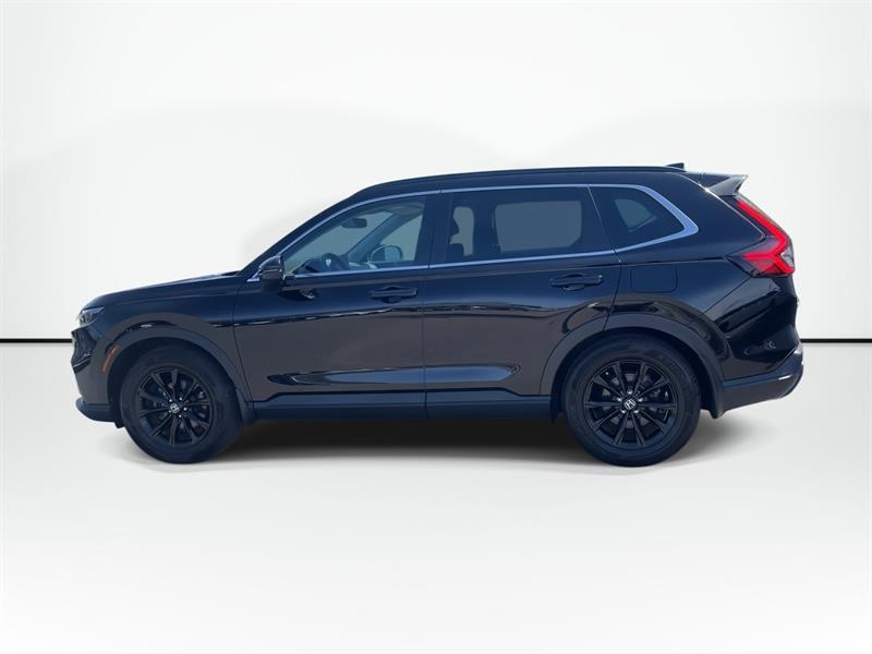 honda CR-V 2025 - 5