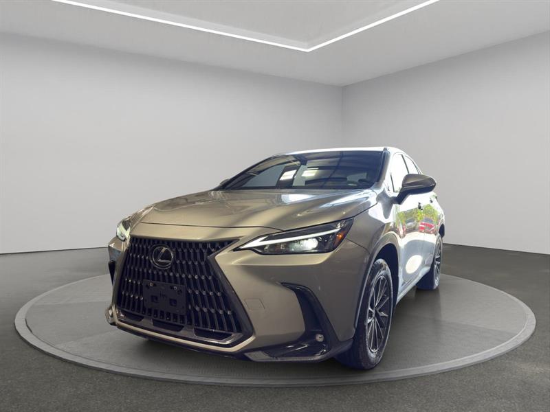 lexus NX-series 2023
