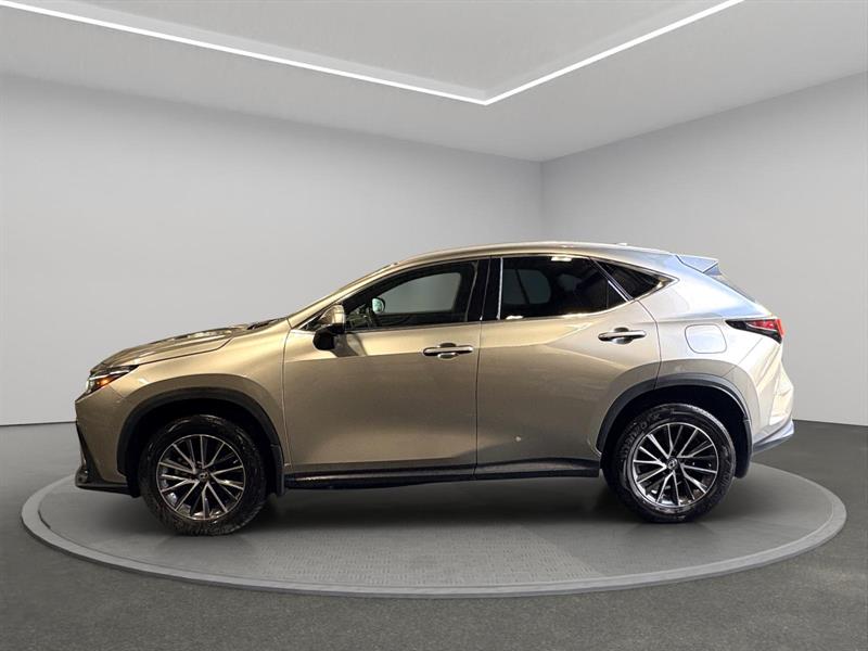 lexus NX-series 2023 - 2