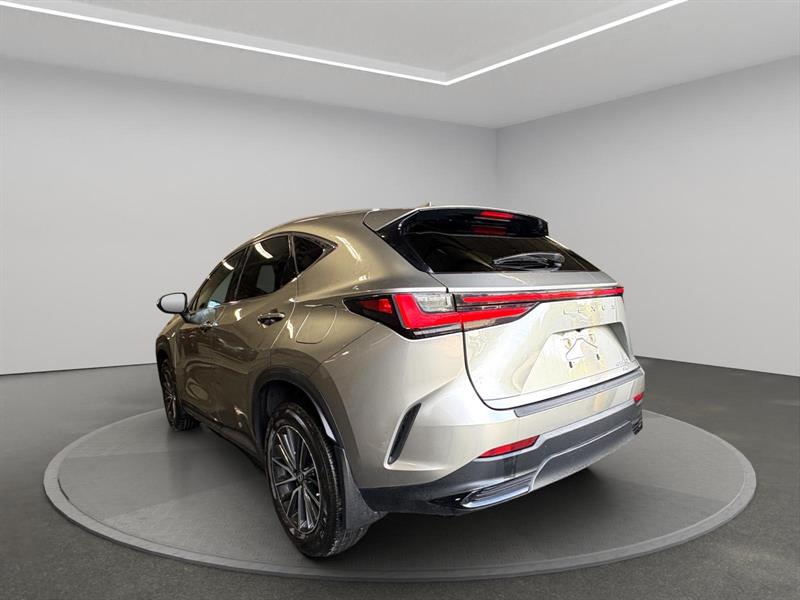 lexus NX-series 2023 - 3