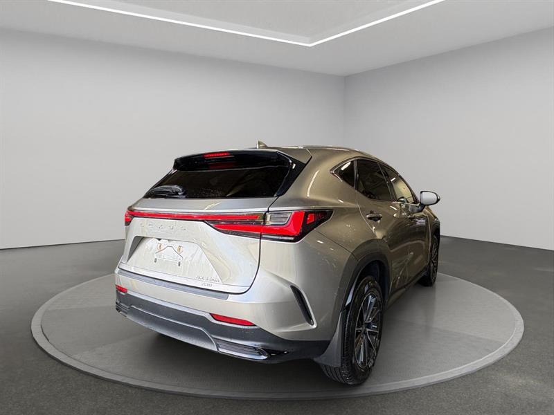 lexus NX-series 2023 - 5