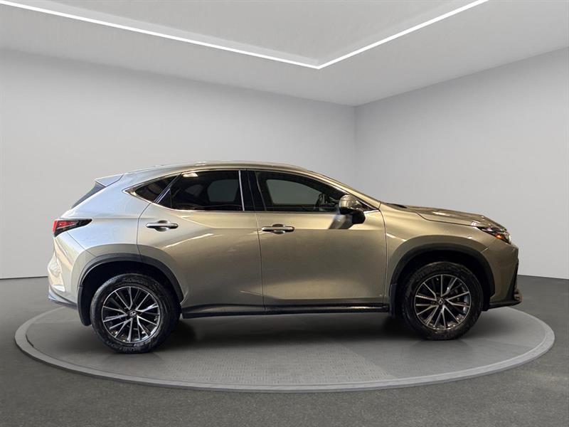 lexus NX-series 2023 - 6