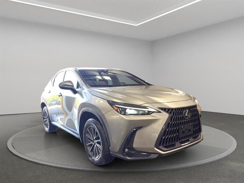 lexus NX-series 2023 - 7