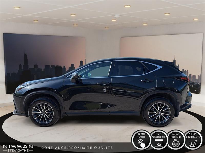lexus NX 2025 - 5