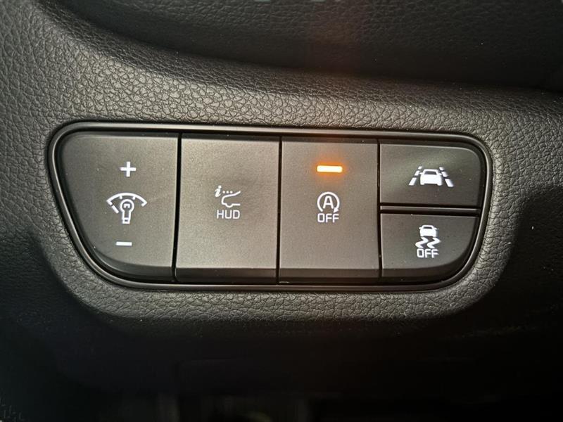 kia Seltos 2022 - 17