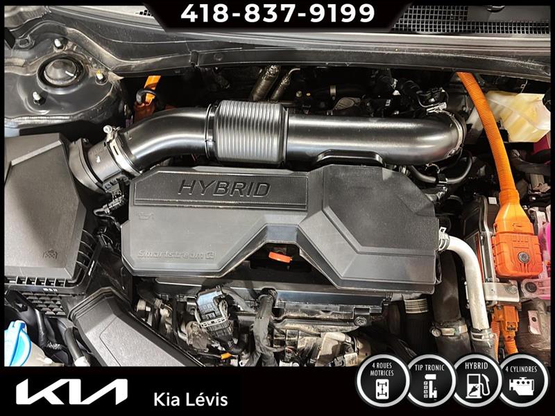kia Sportage HEV 2026 - 15