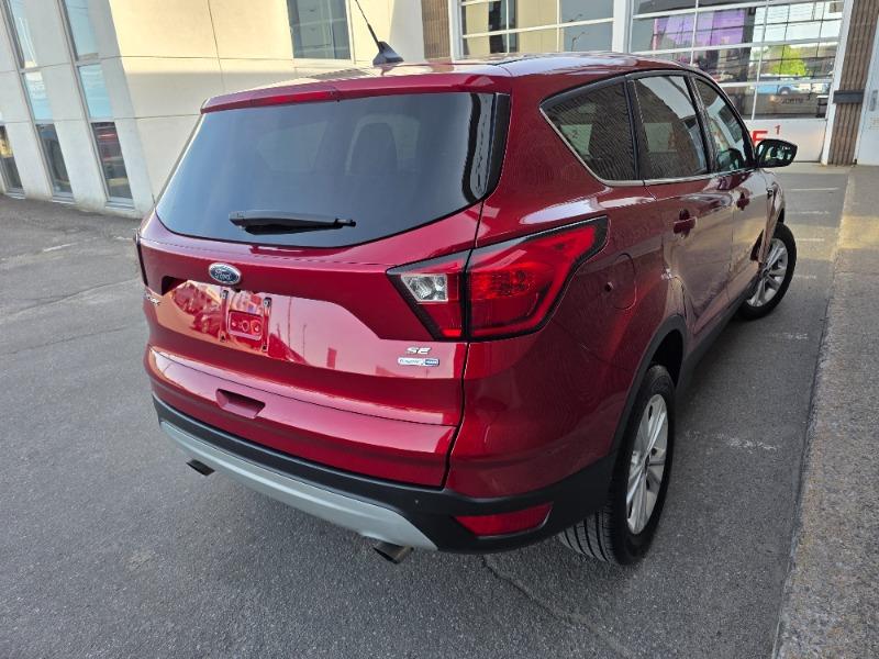 ford Escape 2019 - 5