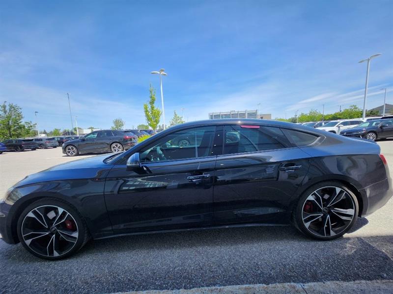 audi S5 2024 - 5