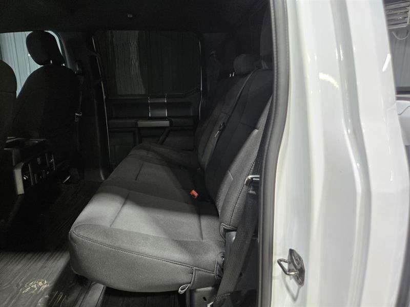 ford F-150 2019 - 10