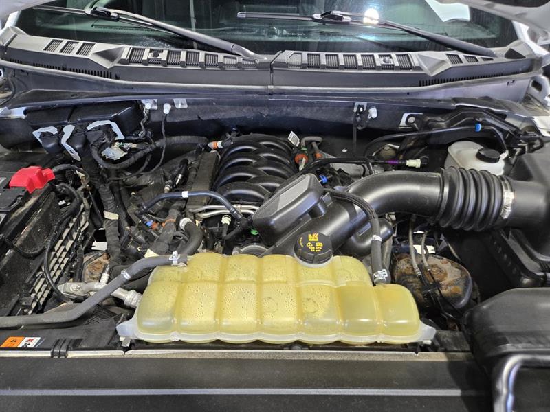 ford F-150 2019 - 13