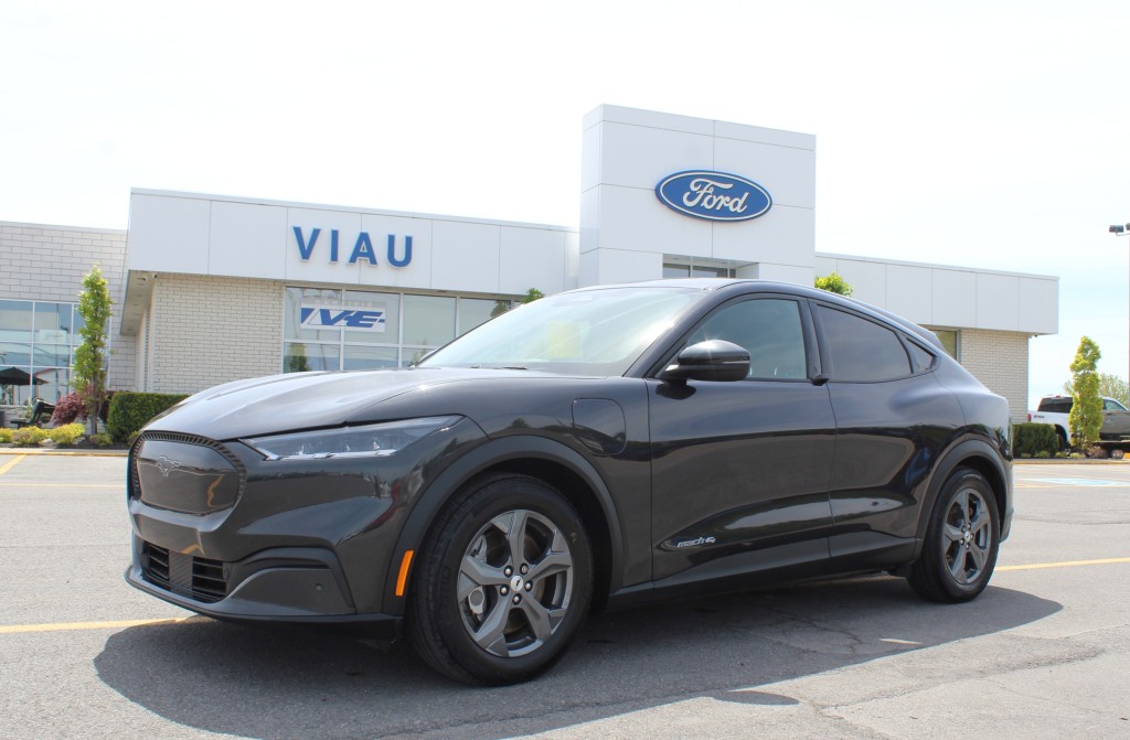 ford Mustang Mach-E 2022