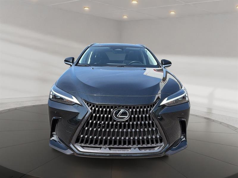 lexus NX 2022 - 2