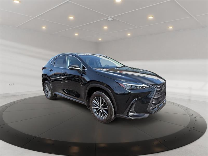 lexus NX 2022 - 3