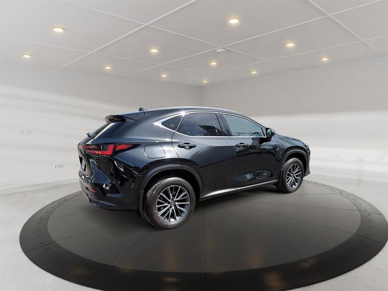 lexus NX 2022 - 5