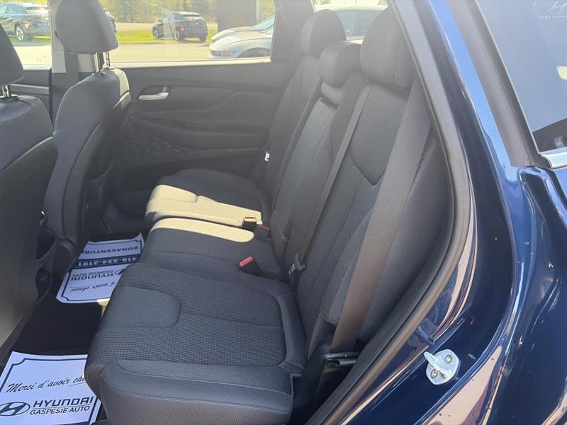 hyundai Santa Fe 2019 - 18