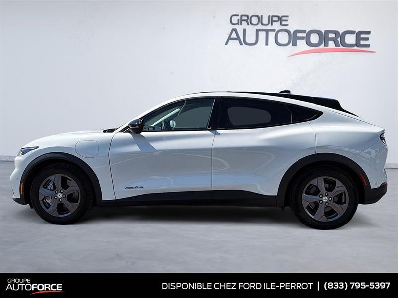 ford Mustang Mach-E 2023 - 5