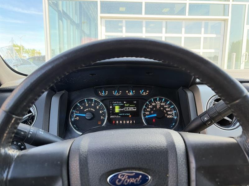 ford F-150 2014 - 20