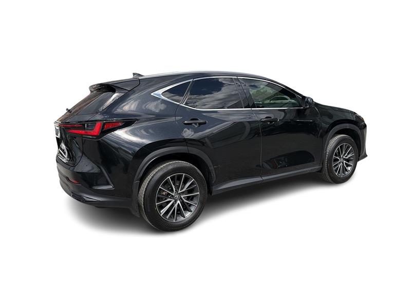 lexus NX 2025 - 14