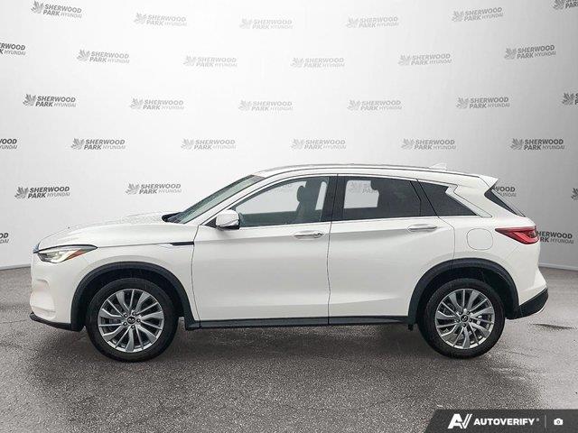 infiniti QX50 2024 - 2