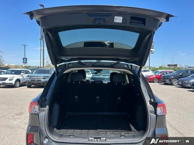 ford Escape 2020 - 15