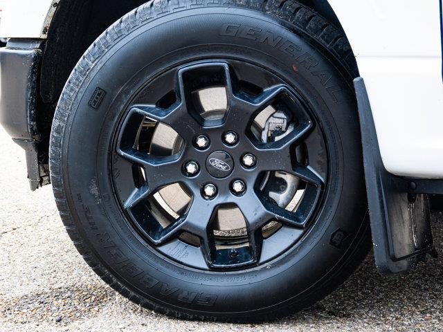 ford F-150 2024 - 5