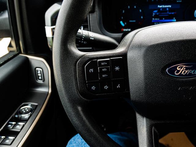 ford F-150 2024 - 19
