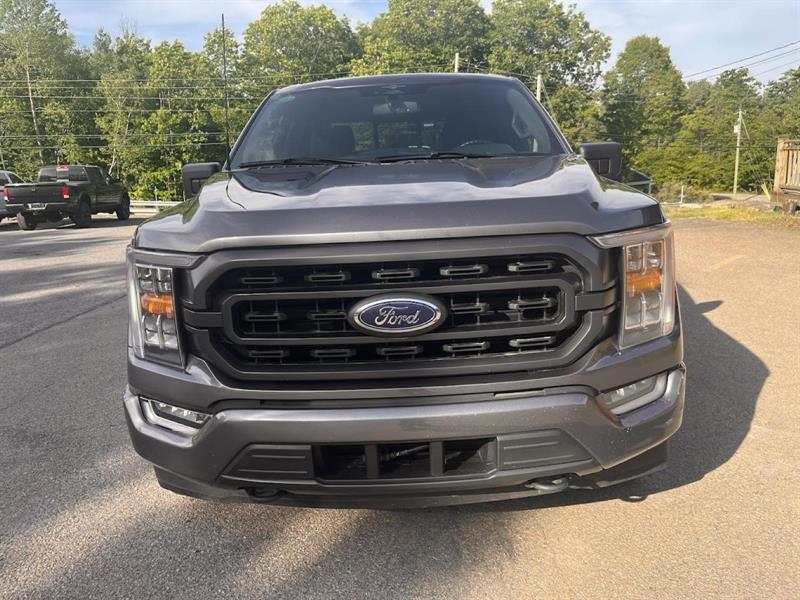 ford F150 2023 - 2