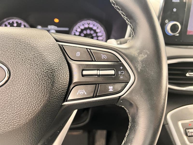 hyundai Santa Fe 2022 - 25