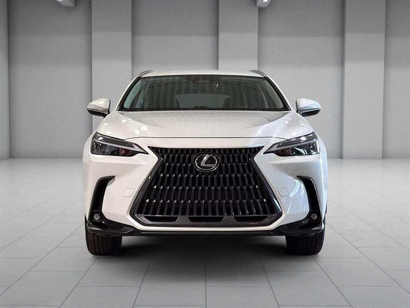 lexus NX 2022 - 2