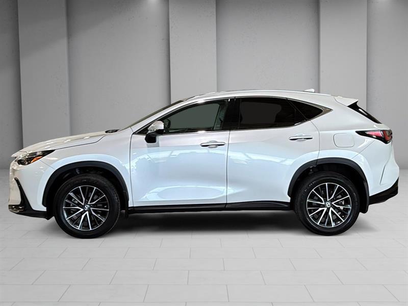 lexus NX 2022 - 3