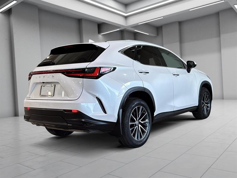lexus NX 2022 - 8