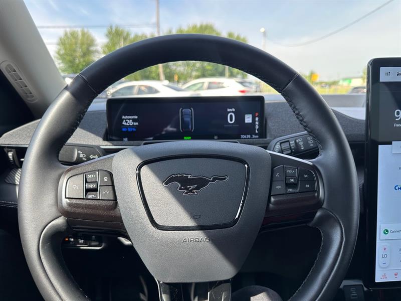 ford Mustang Mach-E 2023 - 17