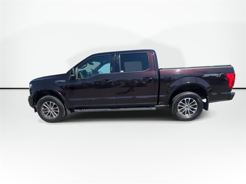 ford F-150 2019 - 5