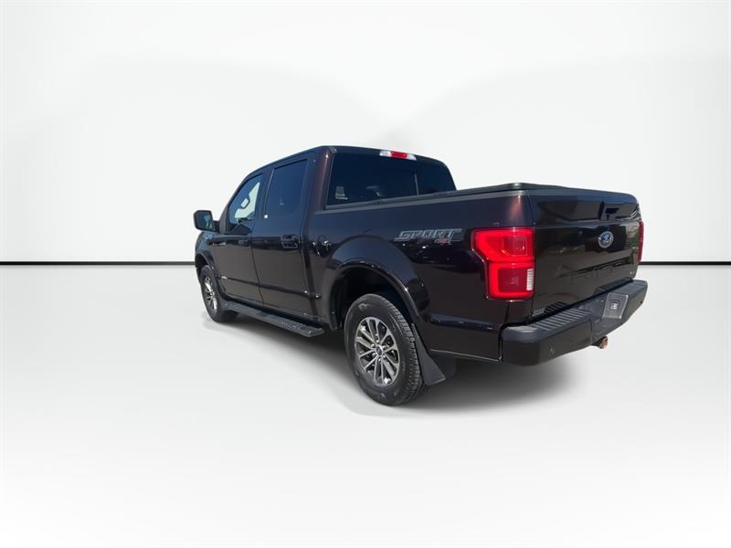 ford F-150 2019 - 6