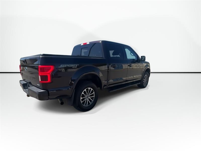 ford F-150 2019 - 8