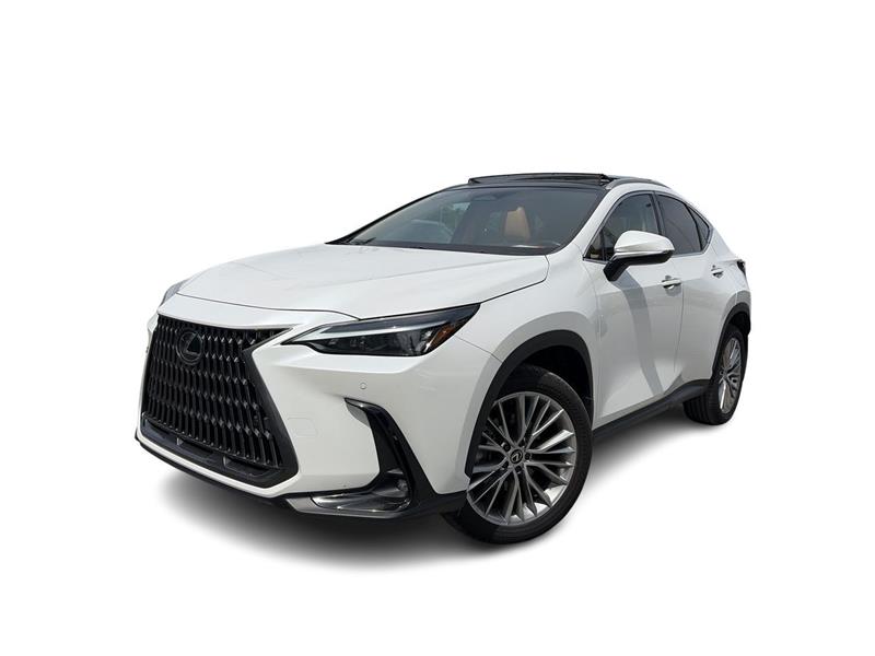 lexus NX 2024