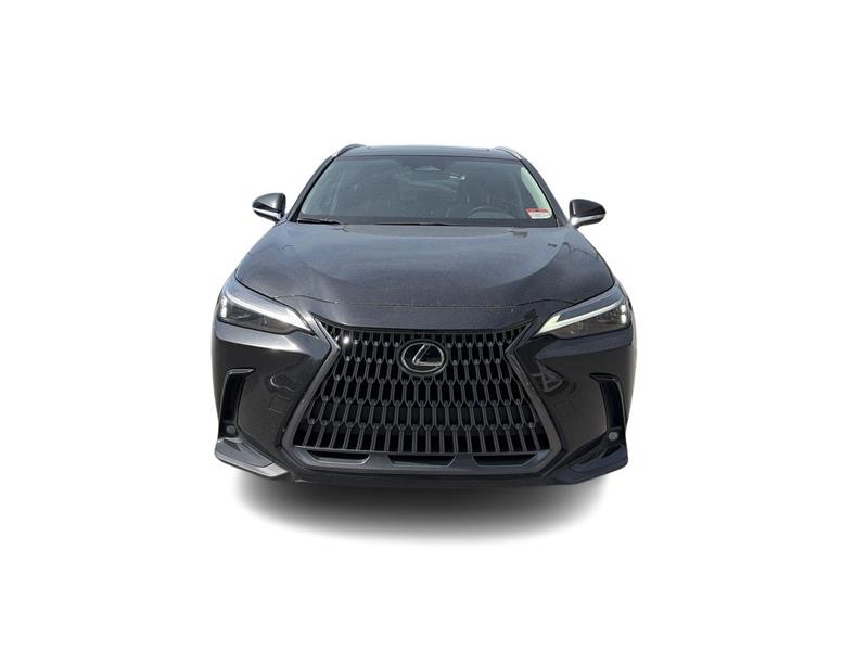 lexus NX 2025 - 4