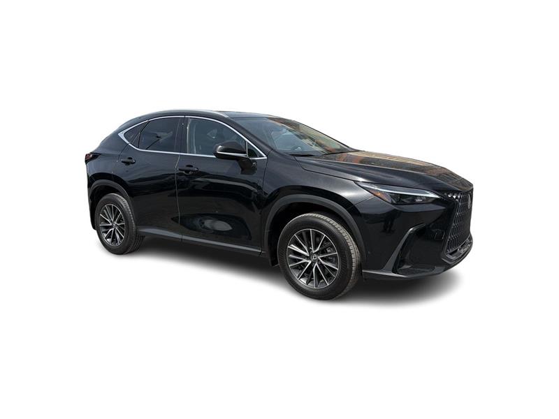 lexus NX 2025 - 17