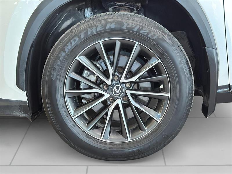 lexus NX 2022 - 4
